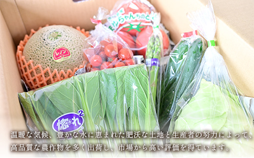 657 茨城町 春の野菜セット メロン トマト きゅうり キャベツ みず菜