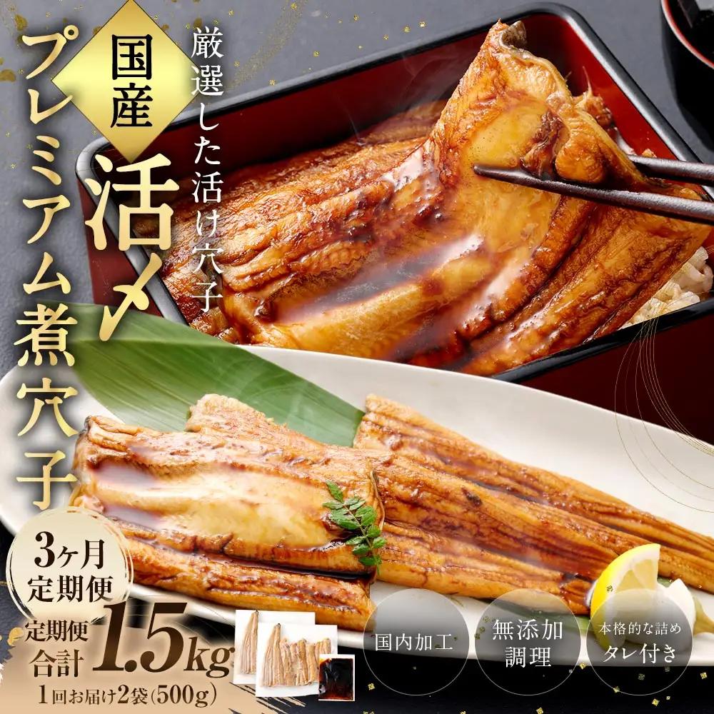 【 3ヶ月定期便 】 国産活〆 プレミアム煮穴子 500g （ 250g × 2袋 ） タレ （ 50g ） 付 魚 魚類 お魚 穴子 アナゴ あなご 魚料理 冷凍 保存料不使用 着色料不使用 添加物