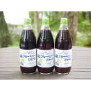 【ふるさと納税】沢屋ブルーベリージュース600ml×3本セット　 果汁飲料 飲み物 契約農家 完熟 果汁 100％ ストレートジュース 採れたて 新鮮 爽やか 風味 香り すっきり 酸味