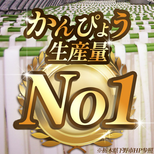 【ふるさと納税】下野ブランド 下野市産かんぴょう 約40g×1袋 | 干瓢 野菜 乾物 栃木県 特産品