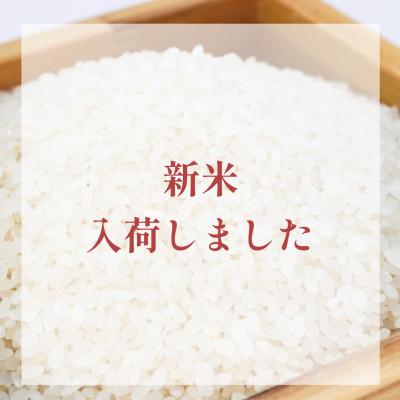 ふるさと納税 江北町 【先行予約】令和8年産 さがびより 精米 5kg【佐賀県江北町産】 |  | 01