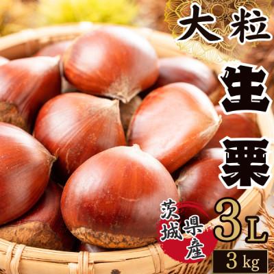 ふるさと納税 かすみがうら市 2026年産!大粒生栗 先行予約受付中 かすみがうら市産　生栗　3Lサイズ 3kg