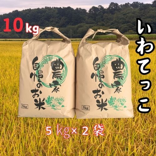 【ふるさと納税】【令和7年産】大野産いわてっこ10kg（5kg×2袋）