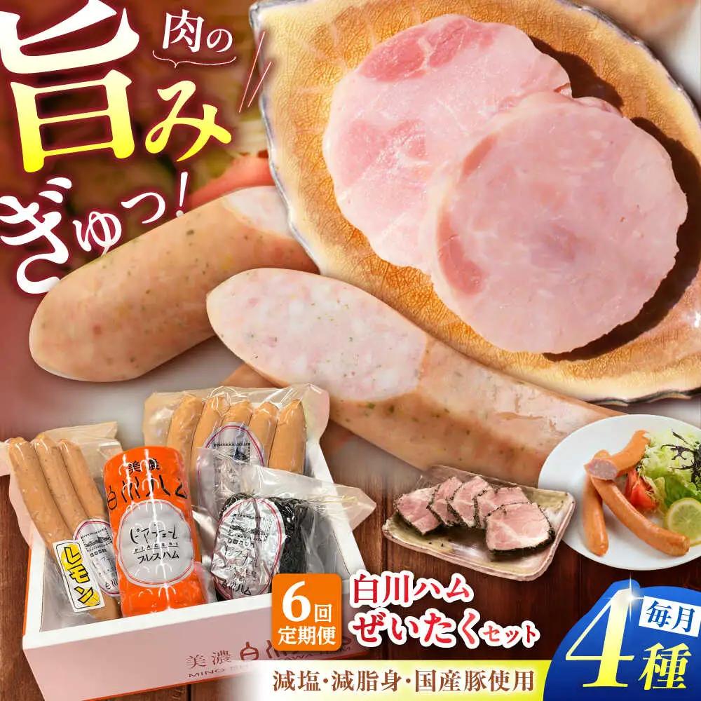 【6回定期便】 美濃白川ハム 4種セット / 白川町農業開発[AWAH022]