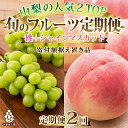 【ふるさと納税】【発送月固定定期便】山梨県産人気果物2種 桃・シャインマスカット定期便 全2回【配送不可地域：離島・沖縄県】【4005775】