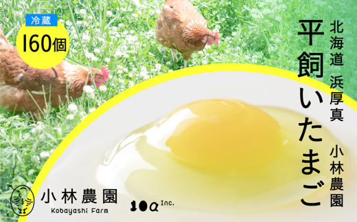【冷蔵配送】こだわりの無投薬･平飼い有精卵 160個《厚真町》【テンアール株式会社】 たまご 卵 鶏卵 玉子 生卵 平飼い 北海道 [AXAN034]