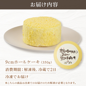 二層の贅沢チーズケーキ チーズケーキ チーズケーキ チーズケーキ J88_02