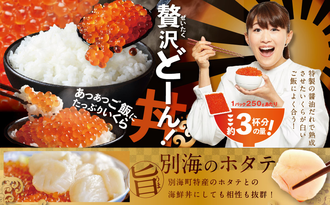 数量限定！贅沢堪能！北海道産  鮭いくら醤油漬け　合計 2.0kg 500g を 4ヶ月 お届け 定期便 全4回＜いくら丼24～32杯分！＞　鱒（マス）ではなく、北海道産の鮭（サケ）のいくらです( い