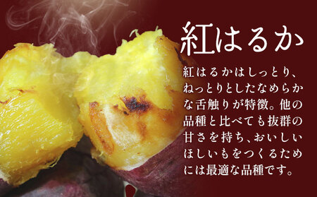 訳あり 紅はるか の 平干し ほしいも 1000g《30日以内に出荷予定(土日祝除く)》株式会社ゆうゆう農園 スイーツ おやつ 芋 さつまいも 和菓子 お菓子 茨城県 河内町 【配送不可地域あり】（沖
