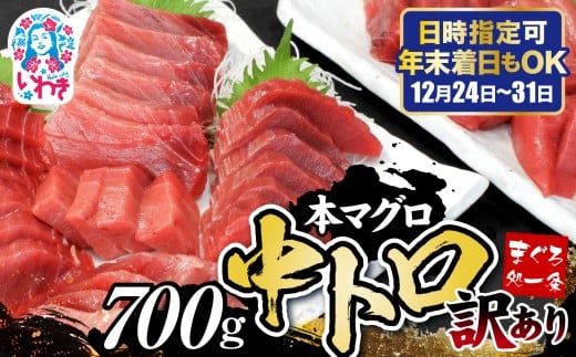 【年末配送12/24～31着日】本マグロ訳あり中トロ700g 日時指定可能 | 鮪 本鮪 本まぐろ マグロ トロ とろ 刺し身 さしみ さかな 海鮮 寿司 解凍レシピ付 発送時期が選べる 冷凍・指定日着可