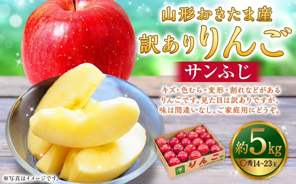 
                  【訳あり】 山形おきたま産 りんご （サンふじ）（〇秀） 14玉～23玉（約5kg） リンゴ 林檎 果物 【2026年11月下旬～12月上旬発送予定】
                
