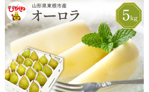 【令和7年産 先行予約】西洋梨オーロラ5kg 秀品　化粧箱入り　山形県 東根市 東根農産センター提供 hi027-186-1