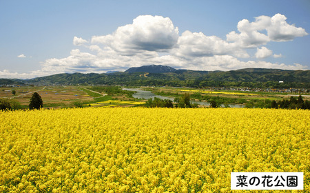 【長野県飯山市】日本旅行 地域限定旅行クーポン150,000円分 (A-50)