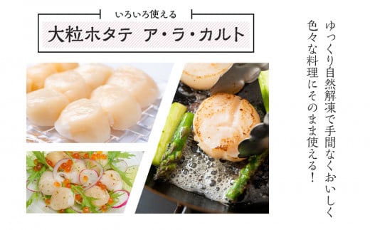 ほたて 貝柱 大粒 冷凍 1kg(41粒～50粒前後)×1パック お取り寄せ 刺身  《横田水産》