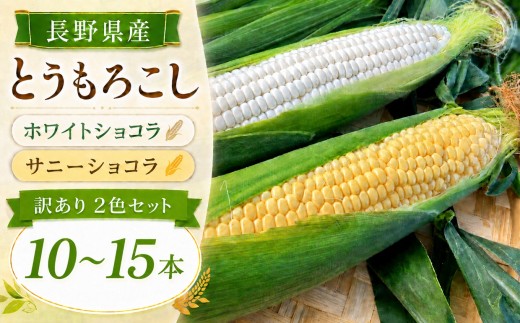 【訳あり】 とうもろこし ホワイトショコラ サニーショコラ 2色セット 10-15本 約5kg | 農家直送 トウモロコシ 甘い 野菜 ジューシー みずみずしい 生食 茹で 焼き 栄養 おやつ 長野県 南信州 飯田市