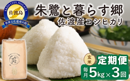【定期便 令和8年産新米 3か月】 佐渡島産コシヒカリ 玄米 5kg 令和8年産新米 特別栽培米 | 新潟県産コシヒカリ 新潟産コシヒカリ 佐渡産コシヒカリ 新潟県産こしひかり 佐渡産こしひかり お米 米 こしひかり 玄米 げんまい おこめ コメ 5キロ にいがた さど 新潟県 佐渡市