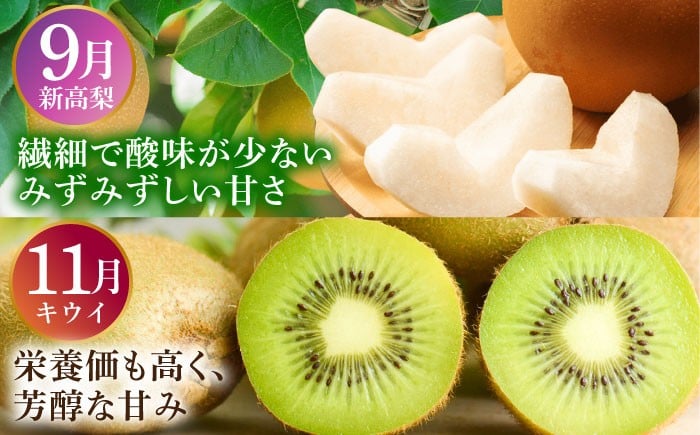 フルーツ みかん ポンカン 不知火 メロン 梨 旬 新鮮 セット 長崎 人気 国産 特産 取り寄せ 定期便 