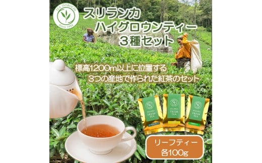 紅茶 茶葉 お茶 紅茶セット ティー 3種 セット 100g × 3袋 ギフト プレゼント フレッシュ スリランカ フレッシュティー ハイグロウンティー 新鮮 香り 風味 紅茶専門店 専門店 イソブチカンパニー 神奈川 湘南 藤沢 贈り物 お土産 リーフティー ミルクティー ヌワラエリア ウバ ディンブラ