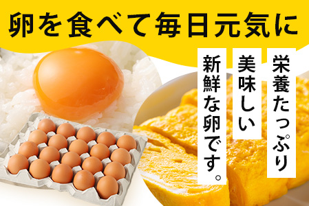 【定期便 12回】平飼い卵「うみとやまとこっこ」上田養鶏場 たまご20個 × 12ヶ月【合計240個】佐賀県鹿島産 卵 タマゴ I-32