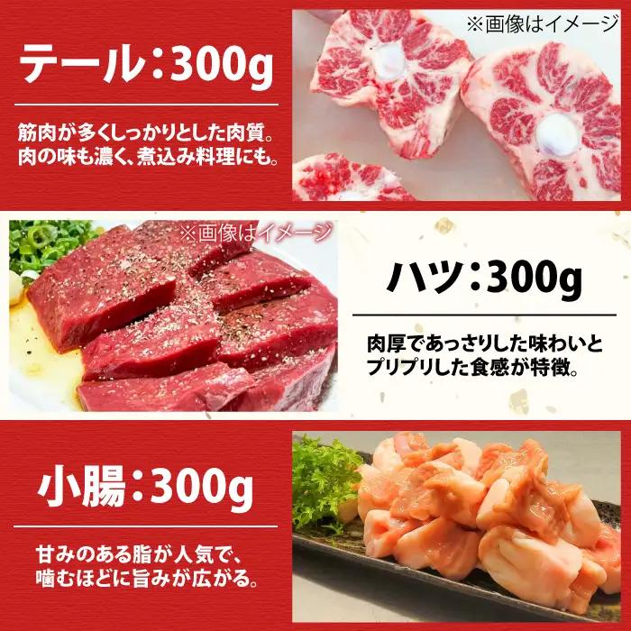 【全3回定期便】佐賀牛6種食べ比べ！ ホルモンバラエティセット 5.4kg 4-5人前 タン・小腸など 吉野ヶ里町/やきとり紋次郎[FCJ104]