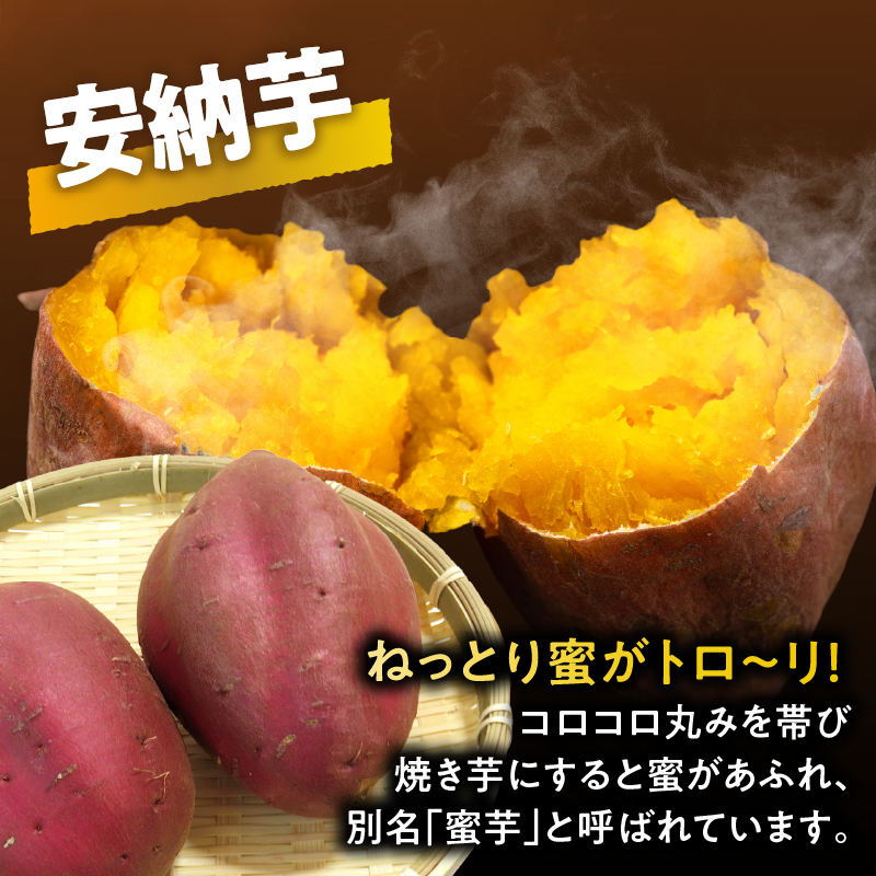 冷やし焼き芋(安納芋) 計2kg_T016-0065【さつまいも イモ 野菜 国産 人気 ギフト おかず おやつ やきいも ポテト デザート 送料無料 プレゼント】