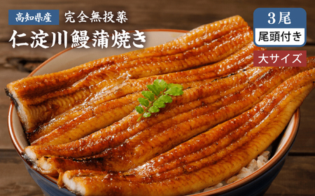 鰻 完全無投薬鰻 仁淀川鰻蒲焼き  大 (約200g×3尾)  / 鰻 鰻蒲焼 鰻蒲焼き [ATBE021]