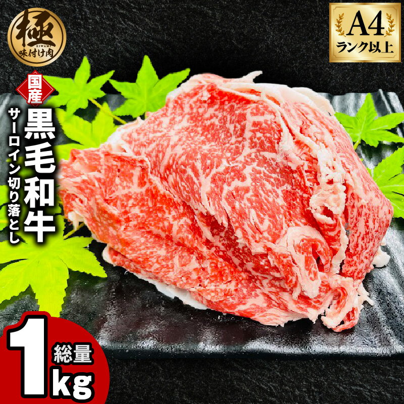 【ふるさと納税】【訳あり】 A4ランク以上 黒毛和牛 サーロイン 切り落とし 250g × 4P 合計 1kg 小分け 国産 A4 A5 味付き 極味付け肉 特製ダシタレ付き 牛肉 サイズ不揃い 冷凍 簡単調理 牛丼 すき焼き 肉じゃが 炒め物 しゃぶしゃぶ 泉佐野市 送料無料 肉の泉佐野