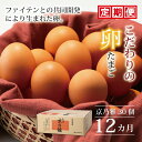 【ふるさと納税】 京の雅 30個 （割れ保証4個含む） 12ヶ月 定期便 卵 たまご 濃い 玉子 セット 卵焼き 12か月 毎月 定期 12回 お届け 卵かけご飯 ゆで卵 鶏卵 卵黄 定期 お届け まとめ買い 卵かけご飯 ごはん ゆで卵 鶏卵 卵黄 生卵 京都府 京丹波町 瑞穂 みずほファーム