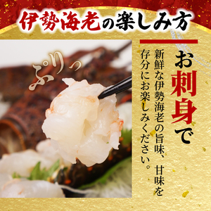 【伊勢海老】 1kg  3～5尾 冷凍 むき身 イセエビ イセエビ