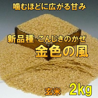 ふるさと納税 奥州市  金色の風(こんじきのかぜ)玄米 2kg 岩手県奥州市 令和7年産玄米 2キロ[AC025]