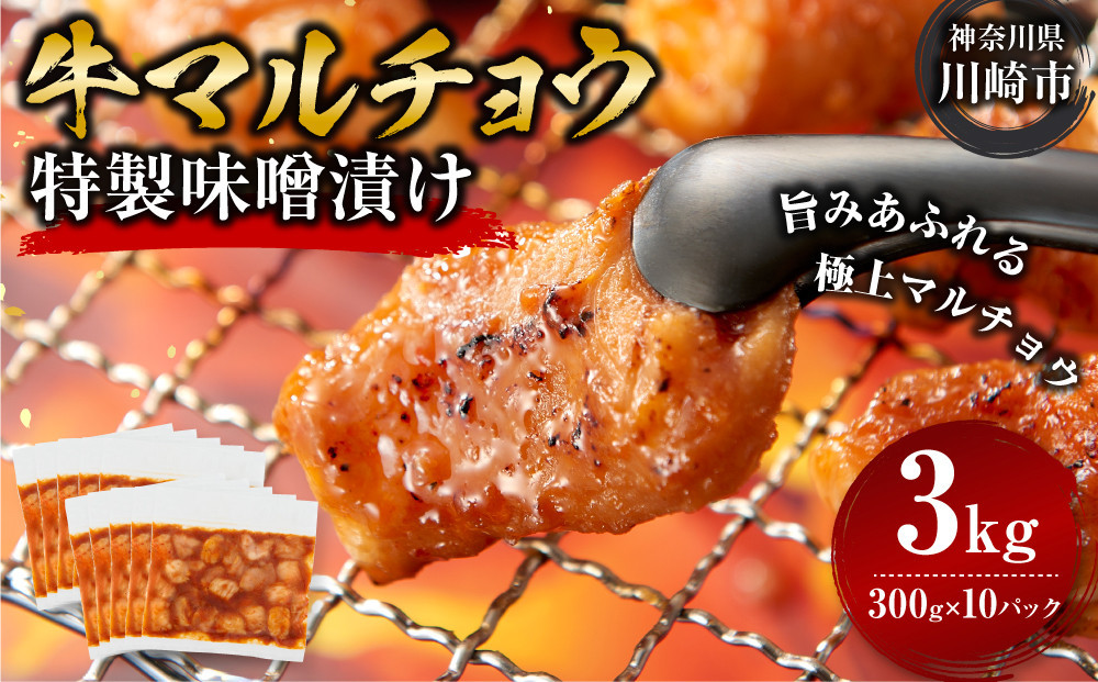 ＜訳アリ＞牛マルチョウ　特製味噌漬け　3kg(300g×10）【2026年10月発送】 141305_KZ34VC10