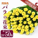 【ふるさと納税】 生産者直送！バラの花束 20本 50本 色同色 おまかせ 日時指定可 バラ 生花 薔薇 花束 フラワーアレンジメント 記念日 誕生日 クリスマス 母の日 父の日 ギフト プレゼント 花 20本 50本 同色系 G02_02 G04_01