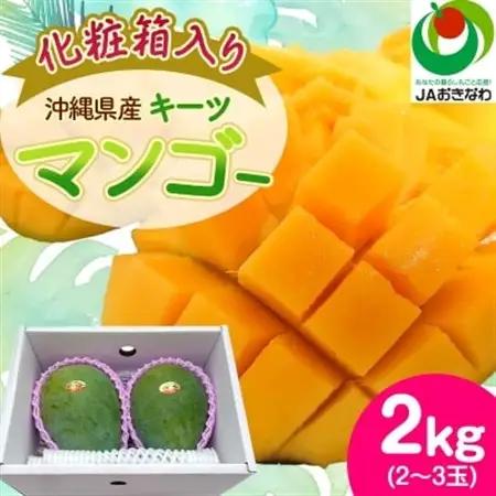 【2027年8月中旬から順次発送・化粧箱】JAおきなわ厳選!沖縄県産キーツマンゴー2kg(2～3玉)【配送不可地域：離島】【1494471】