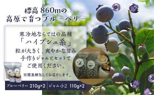 【12月配送】治助ファームの北部ハイブッシュブルーベリー「冷凍果実」210g×2袋と手作りジャム110g×2個セット | 年内発送 国産 ブルーベリー ジャム フルーツ おやつ 製菓 冷凍 くだもの 