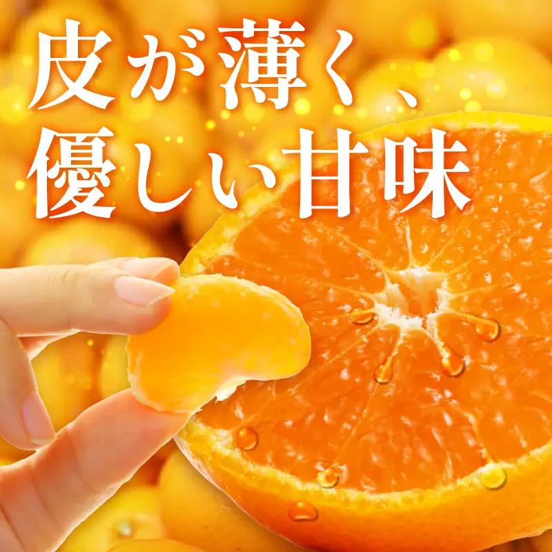 【1337_M】和歌山県天田の頑固みかん　5kg （優～良混合）サイズ指定可能（S・M・L）Mサイズ