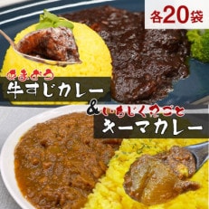 【はかた地どり使用】「あまおう&とよみつひめ」のフルーツカレーセット(170g×各20袋)(粕屋町)