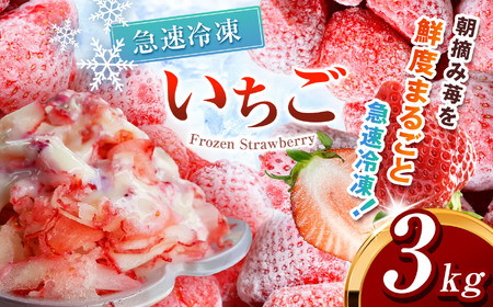 冷凍いちご とちあいか 3kg カット済み 訳あり
