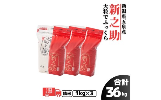 【先行予約】【令和8年産】 〈12回定期便〉新之助 精米 3kg (1kg×3袋) 新潟県 五泉市 有限会社ファームみなみの郷