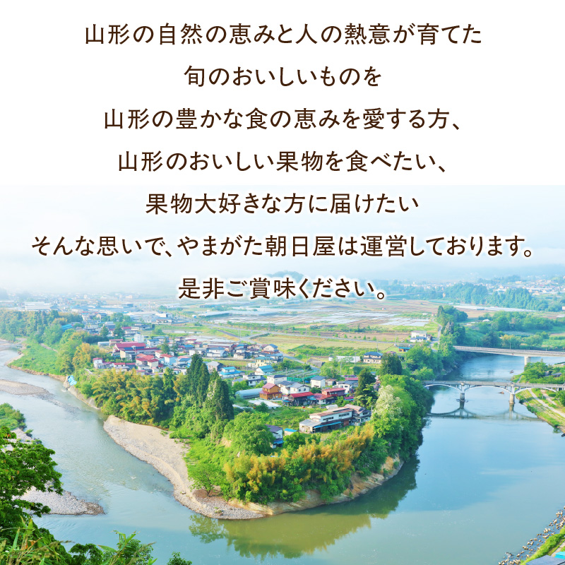 山形県産 はえぬき 5kg【2025年度産米】