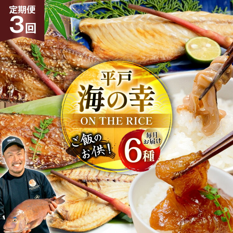 【ふるさと納税】魚 干物 漬け 塩辛 ごはんのお供 塩干し みりん干し 漬け 塩辛 セット 3回 定期便 [末弘丸 長崎県 平戸市 hr42bgy420458] サバ アジ イワシ イリコ アゴ 平戸なつ香 塩干 みりん干 漬け いかの塩辛 無添加 ギフト