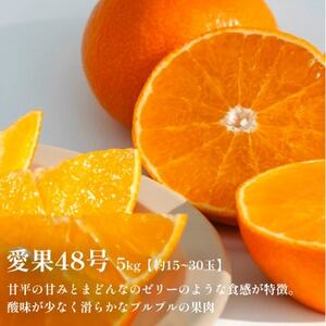 《新品種》「甘平×まどんな」　愛果48号【紅プリンセスと同品種】【5kg】【家庭用】【G70-85】【1633356】