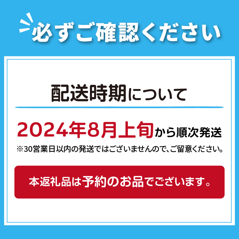 【予約：2024年8月上旬から順次発送】北海道 JAきたみらい「真白たまねぎ」3kg ( 期間限定 野菜 たまねぎ 玉葱 )【005-0002-2024】