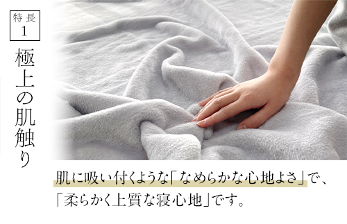 ザ・毛布「プレミアム シルク」グレー クイーン 200×200cm シルク毛布 (上質な絹・silkを使った 掛け布団 ブランケット)｜シルク 絹 天然素材 軽い あたたかい 暖かい オールシーズン 