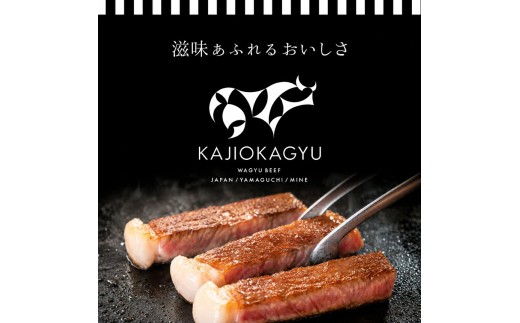 梶岡牛 ジャーキー【JERKY?NOT JERKY!!】 1袋 ｜ おつまみ ジャーキー 乾燥肉 珍味 おやつ A5 黒毛和牛 牛 うし 牛肉 ビーフ お肉 肉 セット 肉加工品 お取り寄せ グルメ 