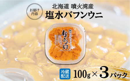 北海道 噴火湾産 塩水 バフンウニ 100g 3パック 計300g うに ウニ 雲丹 海鮮 海の幸 魚介類 ウニ丼 お寿司 濃厚 無添加 産地直送 お取り寄せ 山村水産 送料無料