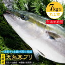 【ふるさと納税】【11/1～1/15お届け 年末年始用】天然 寒ブリ（7キロ台・丸もの） 《壱岐市》【壱岐島　玄海屋】[JBS016] ぶり 寒ぶり ブリ 魚 刺身 しゃぶしゃぶ 140000 140000円 14万 のし プレゼント ギフト 冷蔵配送