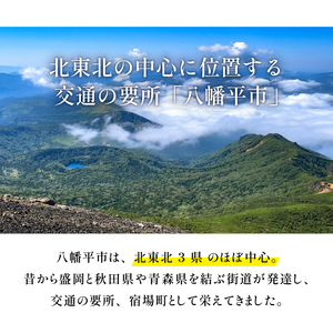 八幡平市共通宿泊補助券（10000円相当） ／ 選べる 宿泊 八幡平市