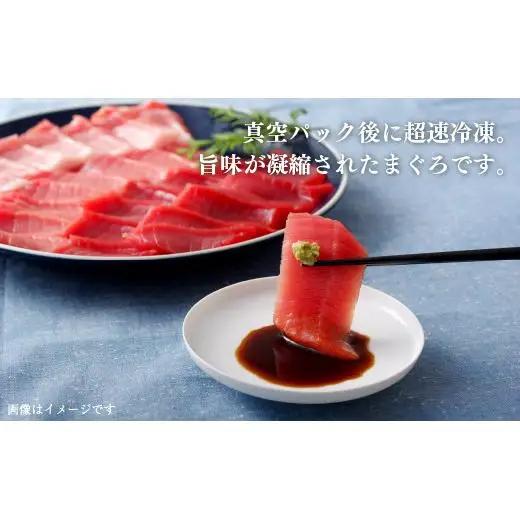 《定期便》長崎県産本まぐろ(中トロ･赤身)480g以上【3回お届け】