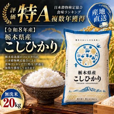 ふるさと納税 真岡市 【令和8年産】毎日いそがしいあなたへ　栃木県産こしひかり 無洗米20kg