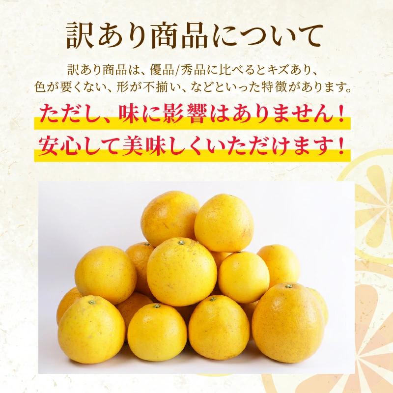 訳あり 河内晩柑 2L サイズ 以上 6玉  (約 3.5kg) サイズミックス 5000円 みかん かわちばんかん ミカン mikan わけあり 愛南ゴールド 家庭用 あいなん ゴールド 美生柑 文